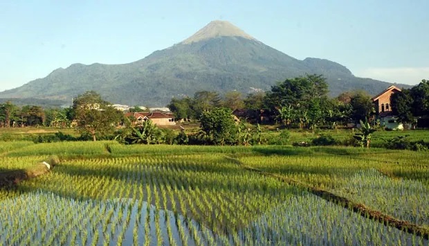 Gambar GAMBARAN UMUM DESA RANDUPITU